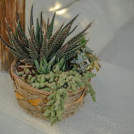 Hotell Melekaki Alacati