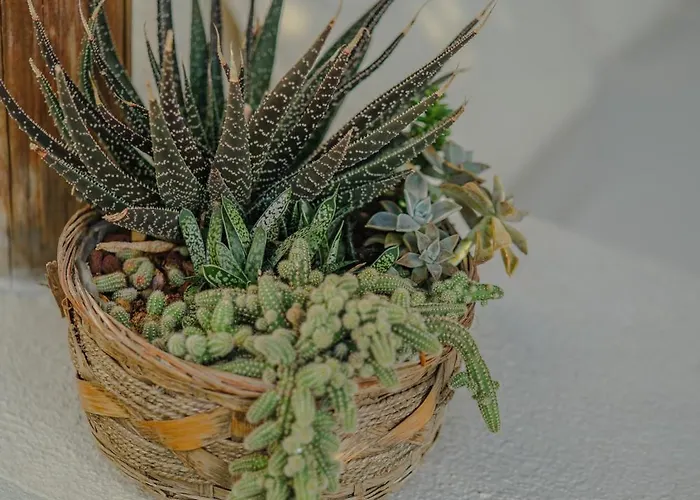 Отель Melekaki Alacati